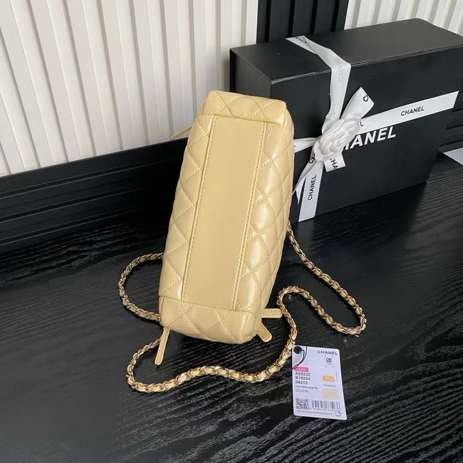 Chanel CAMERA CASE AS5222 Beige