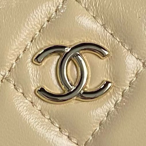 Chanel CAMERA CASE AS5222 Beige