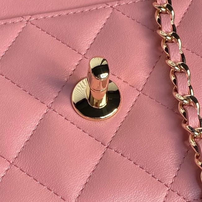 Chanel WALLET ON CHAIN AP4299 pink