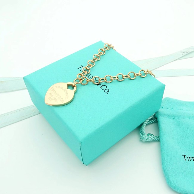 TIFFANY necklace CE15529