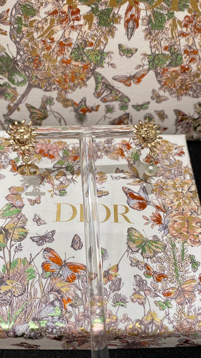 Dior Earrings CE15546