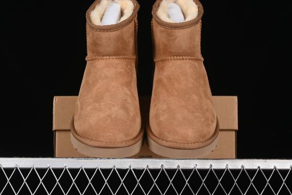 UGG Shoes UGS00041