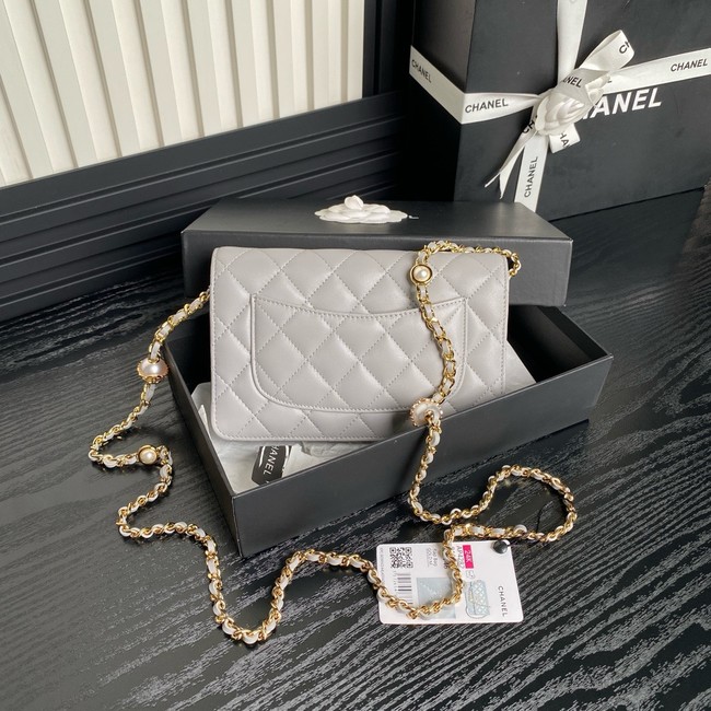 Chanel WALLET ON CHAIN AP4282 gray