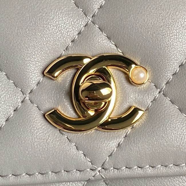 Chanel WALLET ON CHAIN AP4282 gray