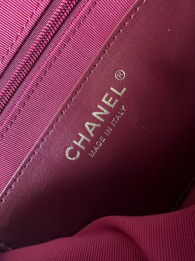 Chanel CAMERA CASE AS5187 Dark Brown