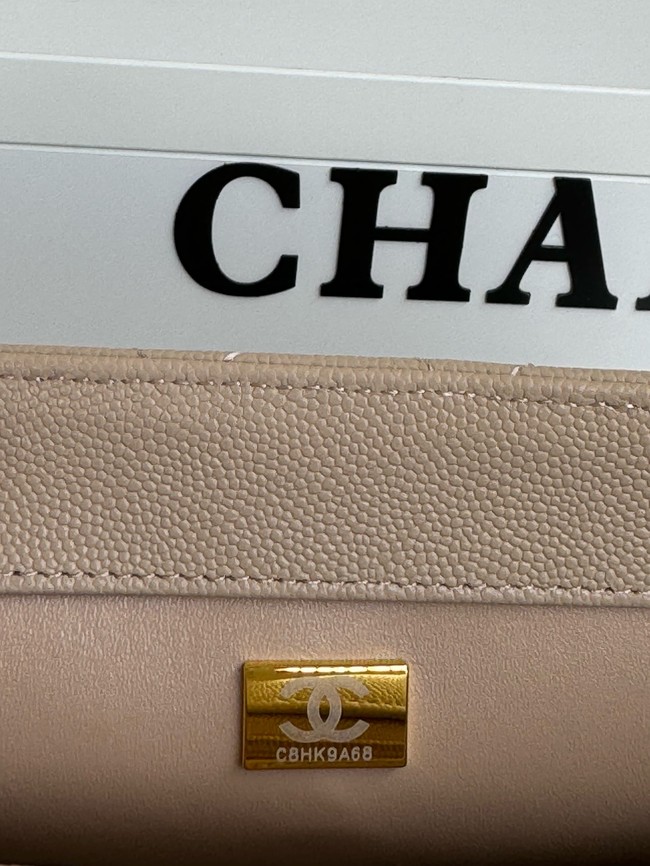 Chanel FLAP BAG WITH TOP HANDLE A92990 Beige