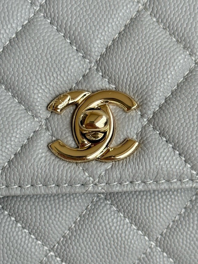 Chanel FLAP BAG WITH TOP HANDLE A92990 gray