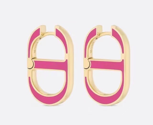 Dior Earrings CE15670