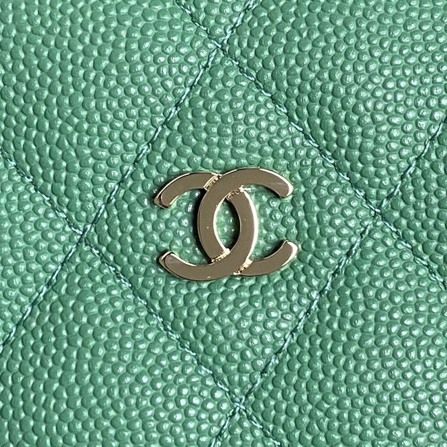 Chanel HOBO HANDBAG AP4386 green