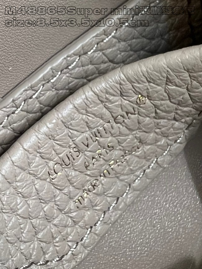 Louis Vuitton Capucines NANO M48865 gray