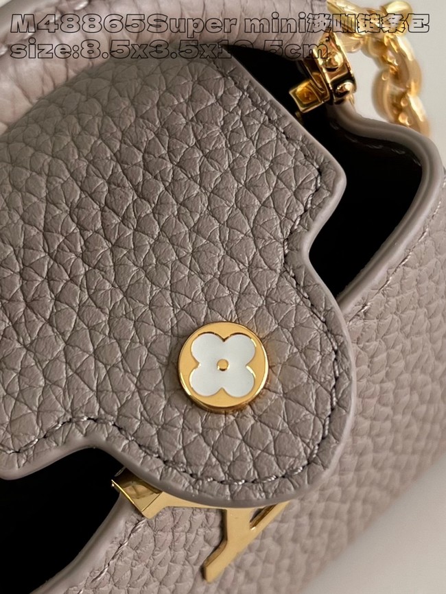 Louis Vuitton Capucines NANO M48865 gray