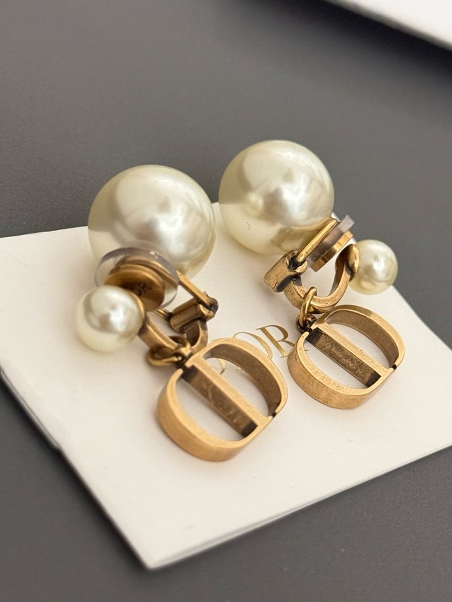 Dior Earrings CE15727