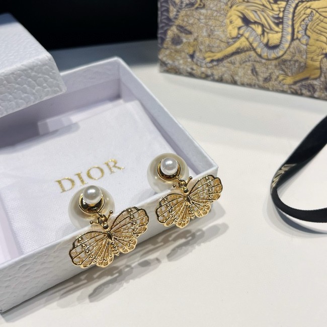 Dior Earring CE15821