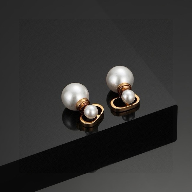 Dior Earring CE15866