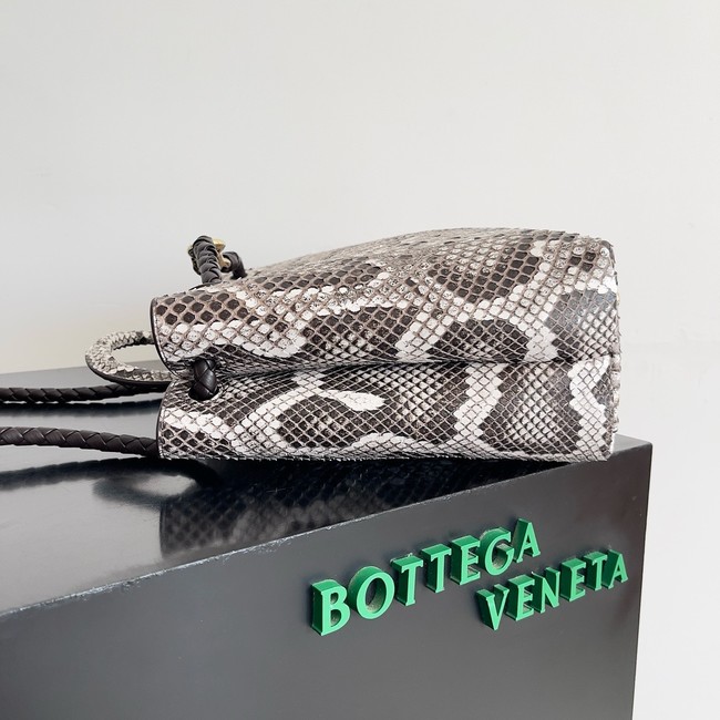 Bottega Veneta Medium Andiamo snake skin 766016 gray