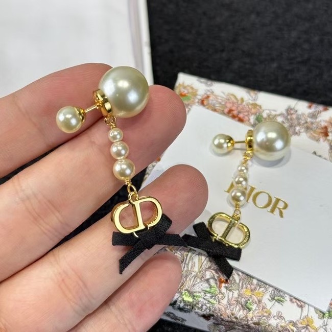 Dior Earring CE15871