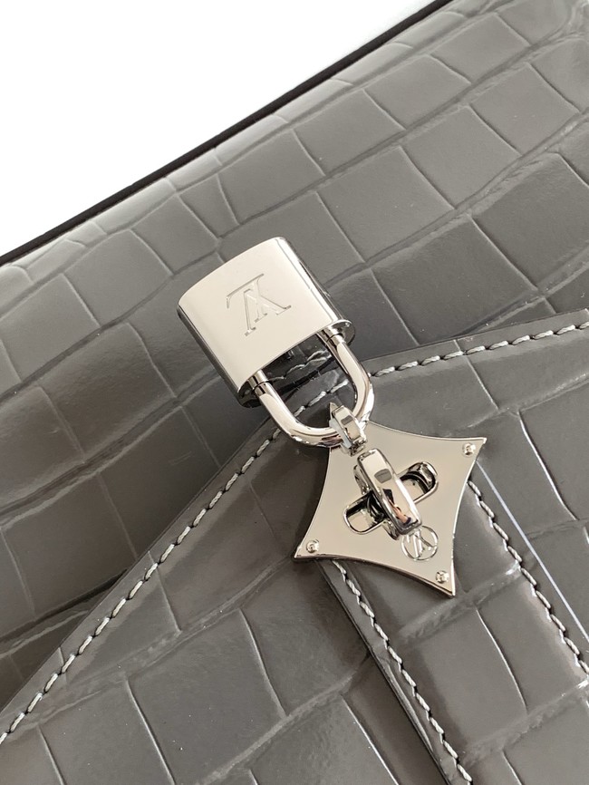 Louis Vuitton Original Leather M84713 gray&silver