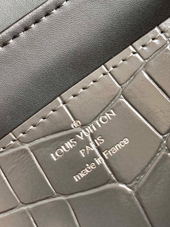 Louis Vuitton Original Leather M84713 gray&silver