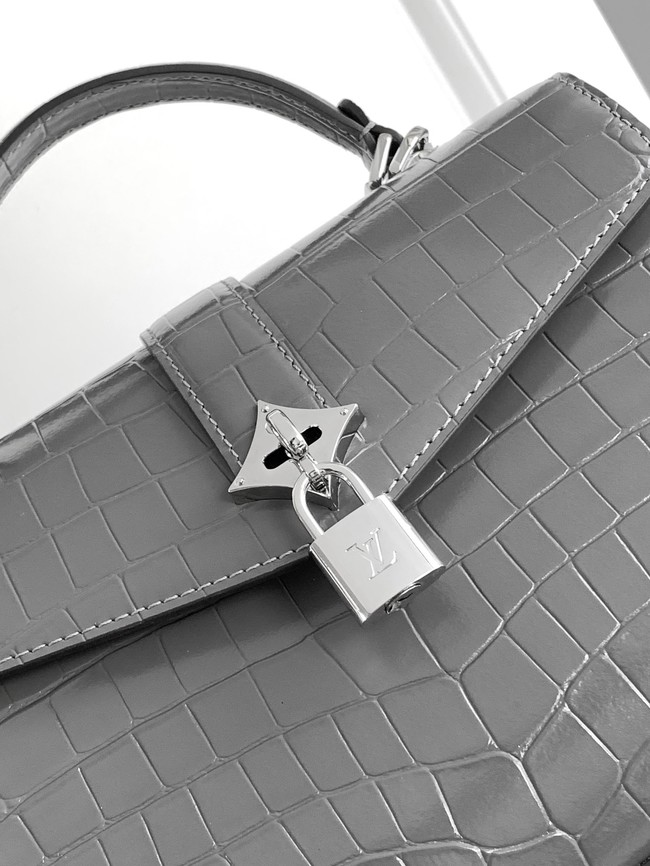 Louis Vuitton Original Leather M84713 gray&silver