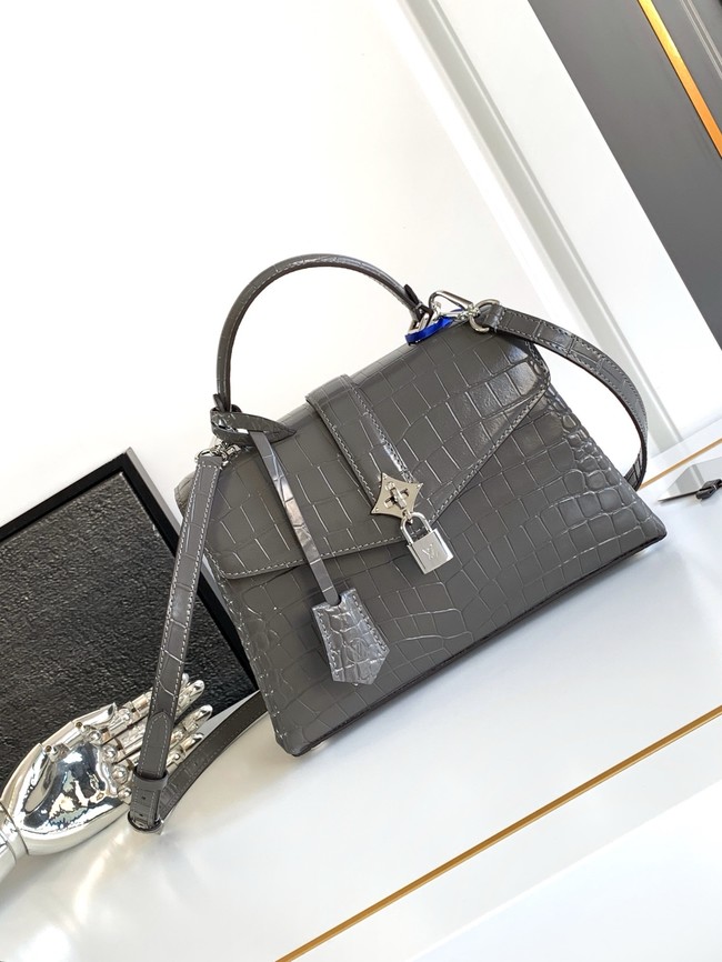 Louis Vuitton Original Leather M84713 gray&silver