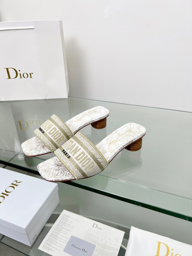 Dior shoes 55775-2