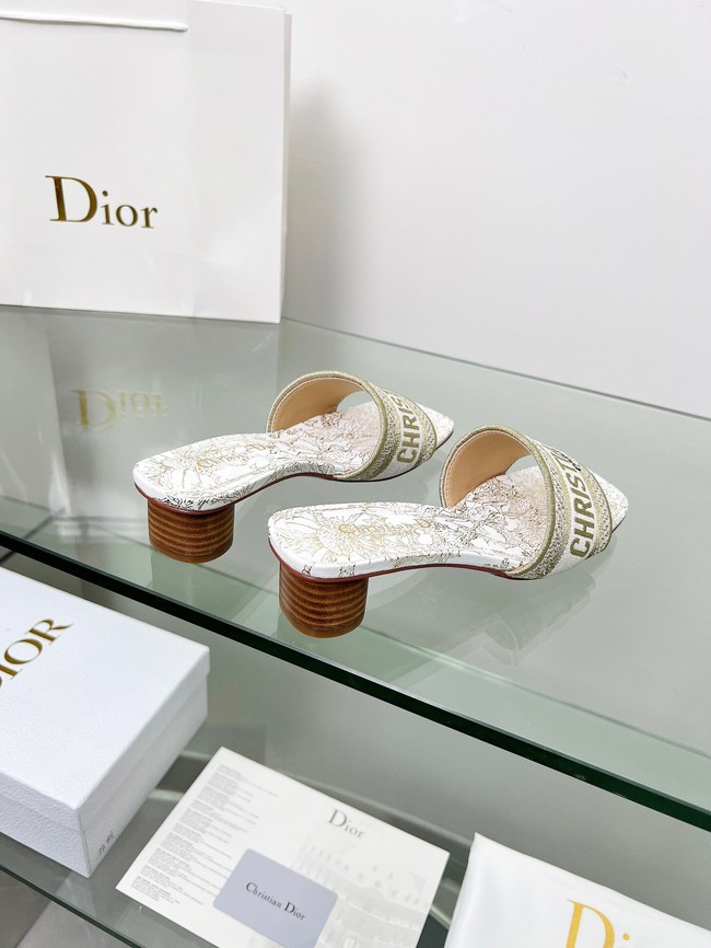 Dior shoes 55775-2