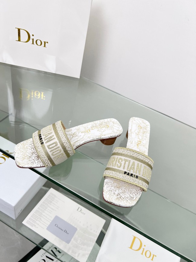 Dior shoes 55775-2