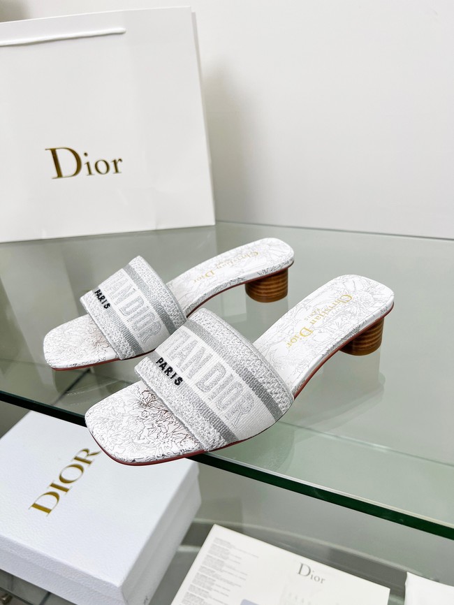 Dior shoes 55775-3