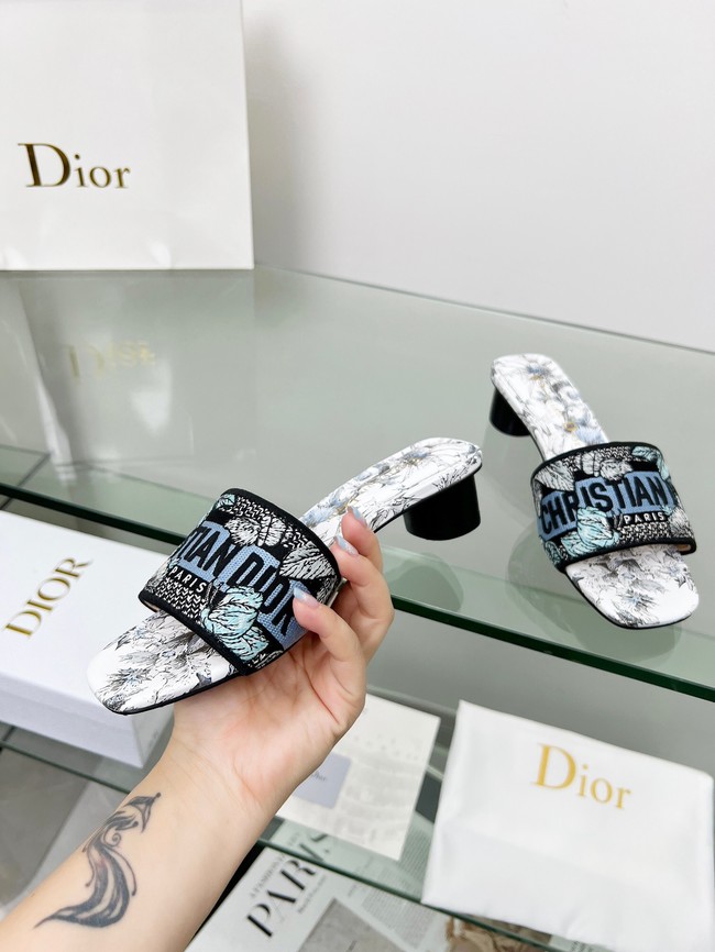 Dior shoes 55775-6