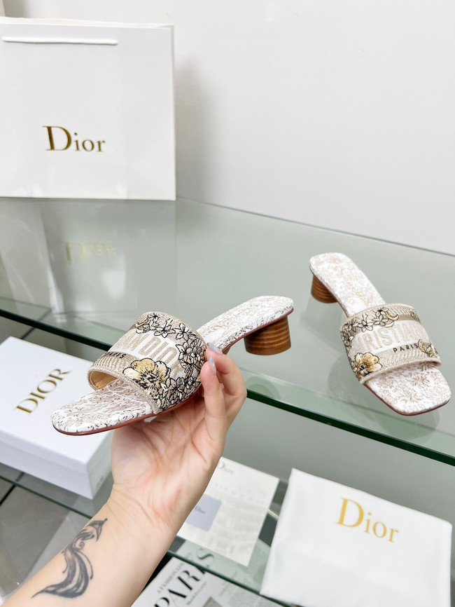 Dior shoes 55775-7