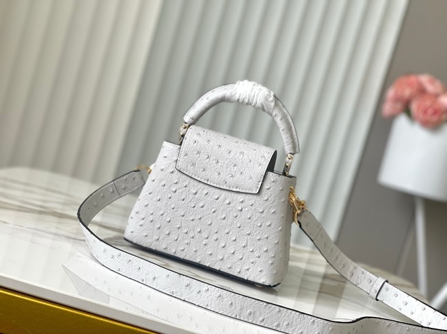 Louis Vuitton Ostrich Capucines Mini M11908 gray