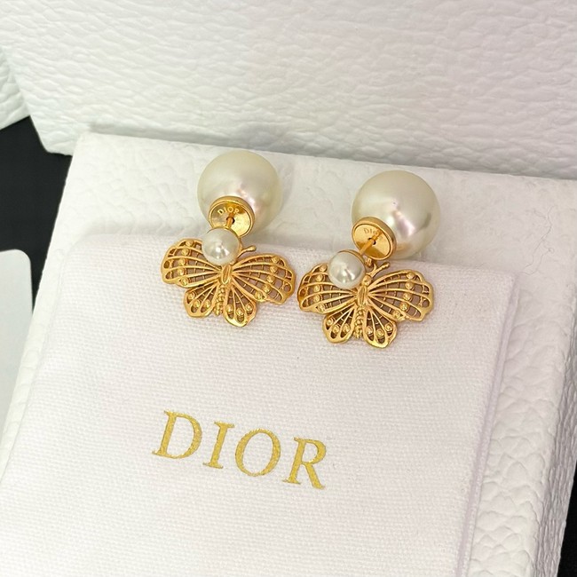 Dior Earring CE15987