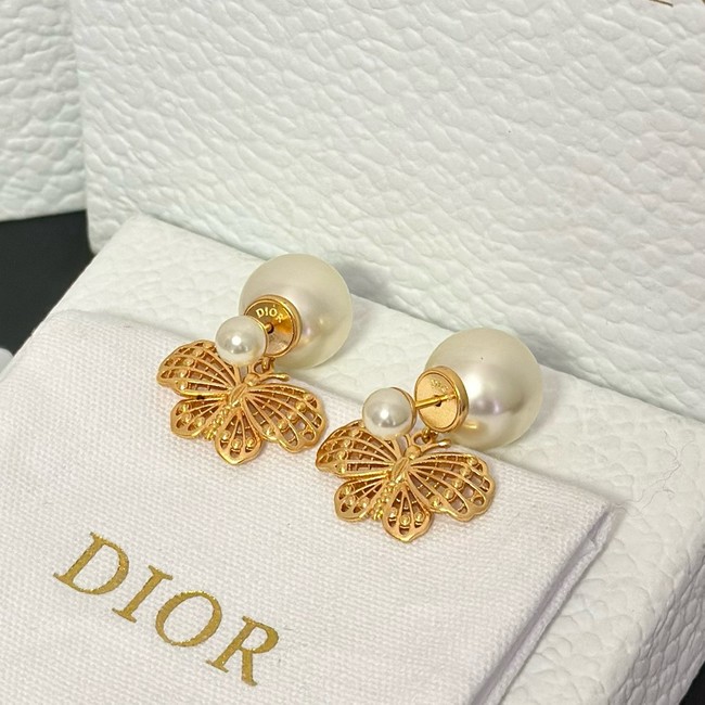 Dior Earring CE15987