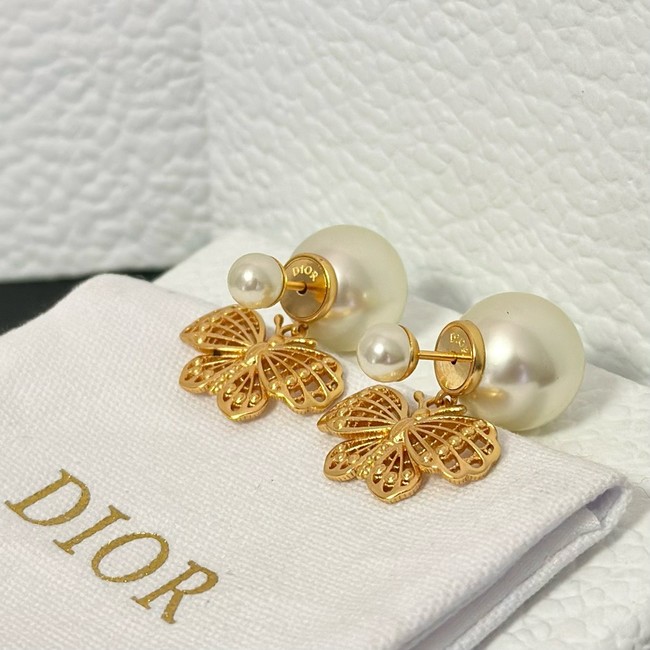 Dior Earring CE15987