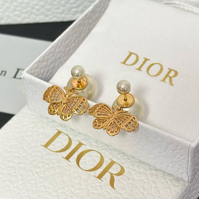 Dior Earring CE15987