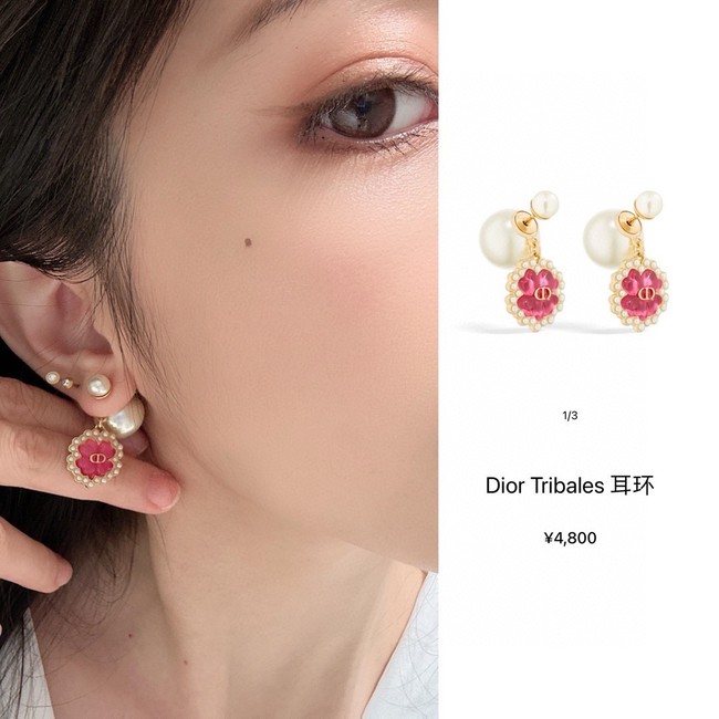 Dior Earring CE16006