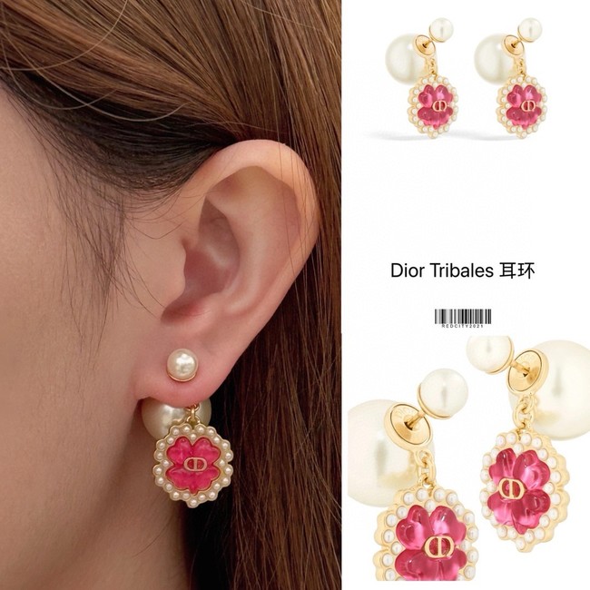 Dior Earring CE16006