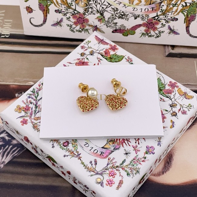 Dior Earring CE16007