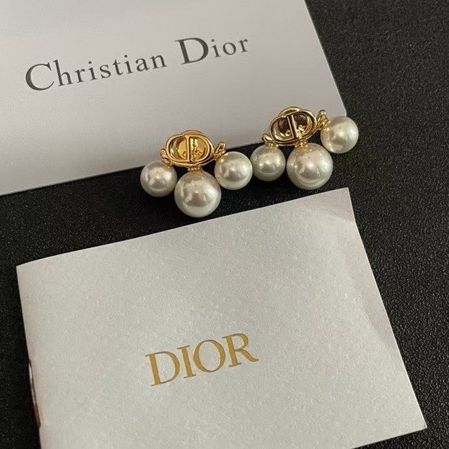 Dior Earring CE16057