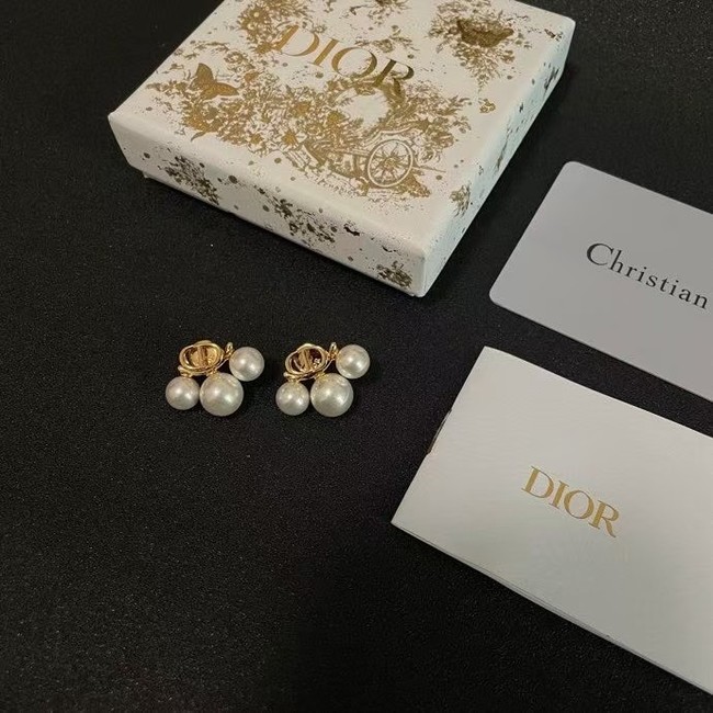 Dior Earring CE16057