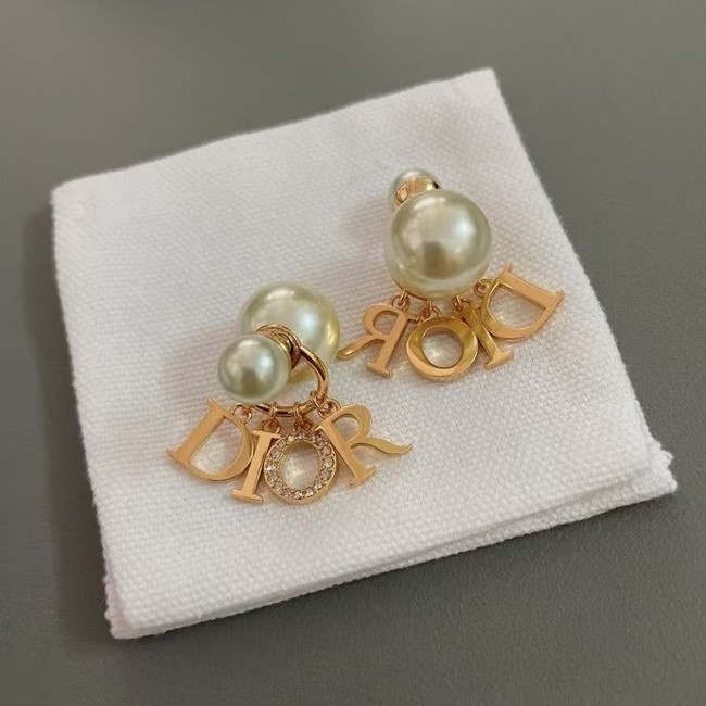 Dior Earring CE16077