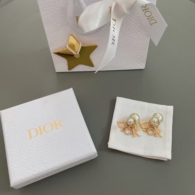 Dior Earring CE16077