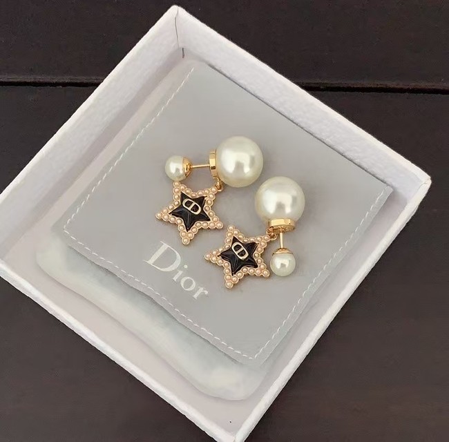 Dior Earring CE16080