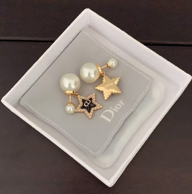 Dior Earring CE16080