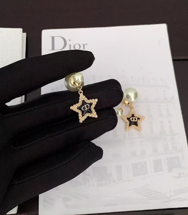 Dior Earring CE16080