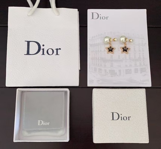 Dior Earring CE16080