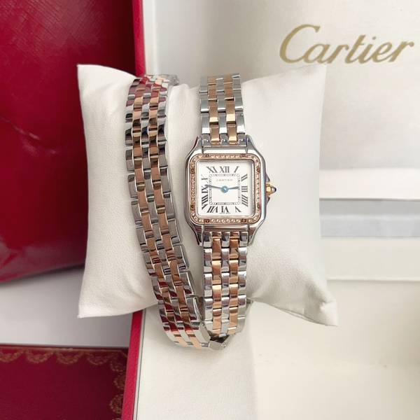 Cartier Watch CTW00718