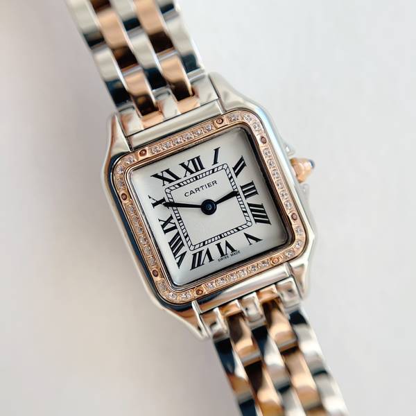 Cartier Watch CTW00718