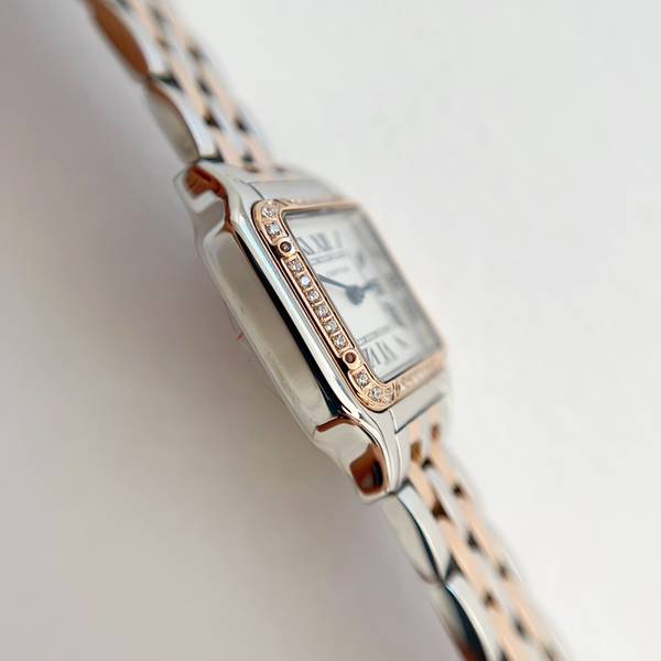 Cartier Watch CTW00718