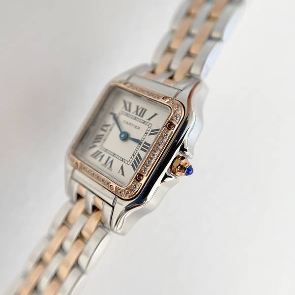 Cartier Watch CTW00718